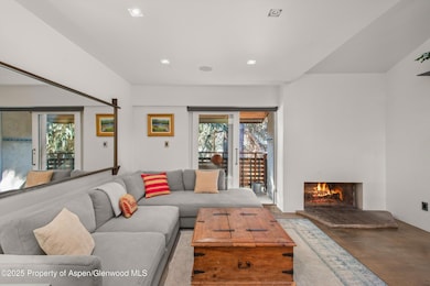 910 W Hallam St unit 11, Aspen, CO 81611 - photo 2