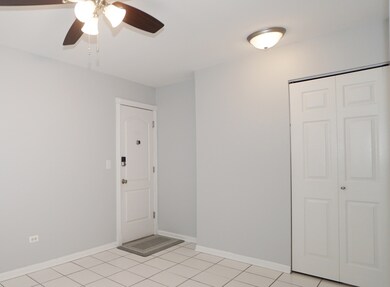 337 N Carter St unit 202, Palatine, IL 60067 - photo 3