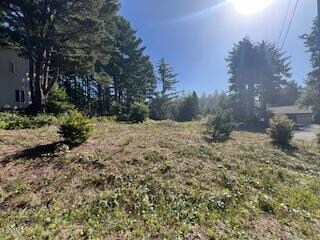 1801 NW Cedar St, Waldport, OR 97394 - photo 6