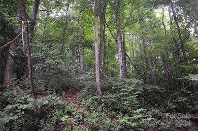 Anoher view of this wonderful building lot.