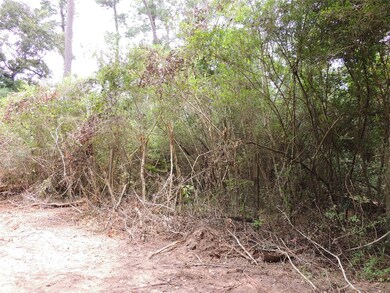 Lot 32C and 33A Rose Cir, Magnolia, TX 77355 - photo 4