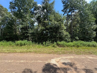 0 Mcrae Cir, Conroe, TX 77303 - photo 5