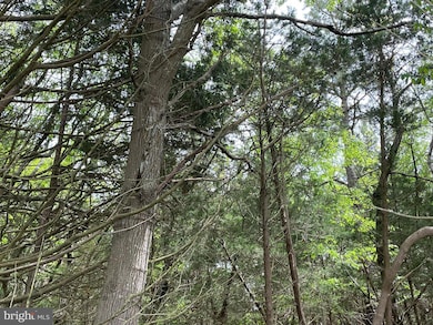 0 E Main St unit NJOC2025964, Tuckerton, NJ 08087 - photo 5