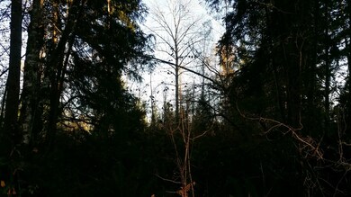 104 SE 288th St, Graham, WA 98338 - photo 5