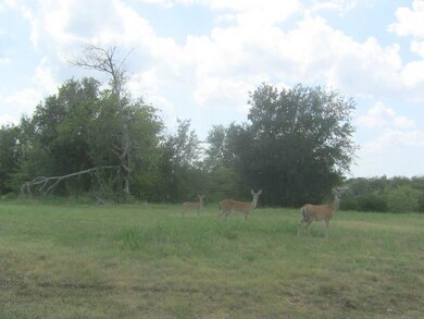 38030 Brookside Dr, Whitney, TX 76692 - photo 2