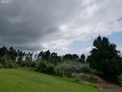 0 Haleakala Hwy, Kula, HI 96790 - photo 6
