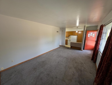 131 Broad Meadows Blvd, Columbus, OH 43214 - photo 3