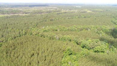 00 Mcentire Rd, Chatsworth, GA 30705 - photo 5