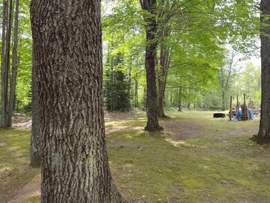 IMG_20190803_145720731
