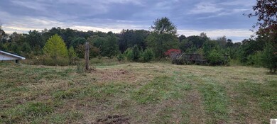 313 Michael Rd, Melber, KY 42069 - photo 7