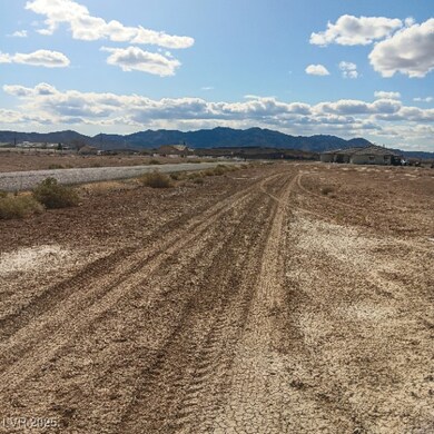 2860 W Carnation Way, Pahrump, NV 89048 - photo 7