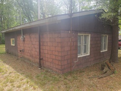 11426 N Bingham Ave, Bitely, MI 49309 - photo 2