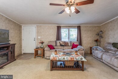 235 Balmoral Ln, Winchester, VA 22603 - photo 5