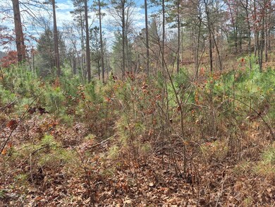 00 High River Crossing, Ellijay, GA 30540 - photo 4