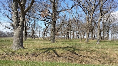 119 E 900 S, Kouts, IN 46347 - photo 3