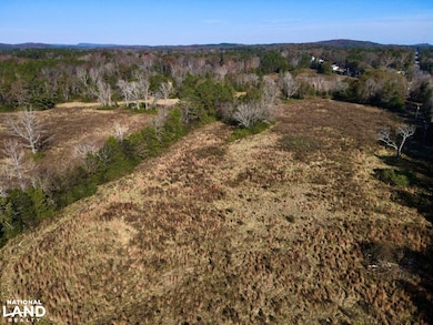 0001 Hwy 231, Vincent, AL 35178 - photo 5