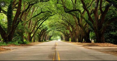 Aiken 2