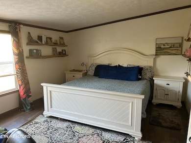 145 Pinhook Rd, Calhoun, TN 37309 - photo 6