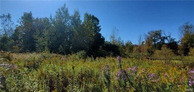 0 Cross Creek Lot 32 Dr unit S1651276, Clay, NY 13090 - photo 5