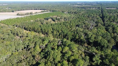 693, Coolidge, GA 31738 - photo 2