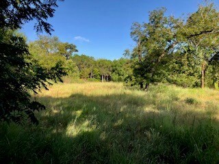 0 Ranch Road 965, Fredericksburg, TX 78624 - photo 4