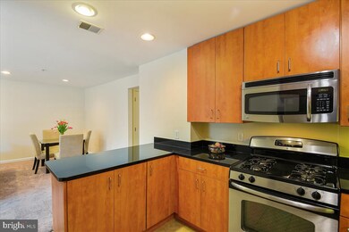 1138 Cove Rd unit 201, Annapolis, MD 21403 - photo 4
