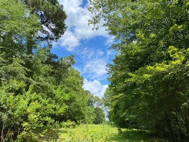 0 Mill Creek Rd unit 7001759, Huntington, TX 75949 - photo 7