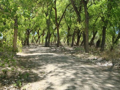 Bosque Trail 005 - MLS