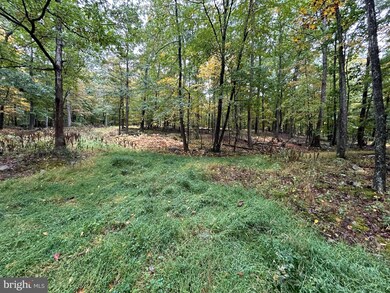 0 Upper Cove Rd, Lost River, WV 26812 - photo 7