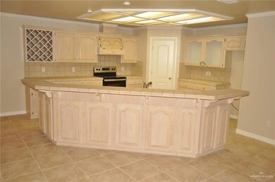 2804 Las Cruces Dr, Edinburg, TX 78539 - photo 4