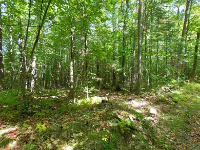 0 Beech Hill Rd unit 13 4773150, Warren, NH 03279 - photo 4