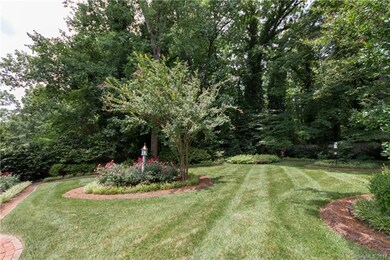 Another view of the back yard. On the left is the 