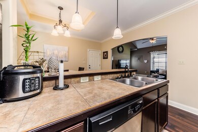 209BottleBrushLn-3-9 (1)