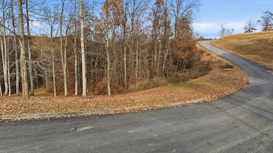 481 Hidden Forest Trail, Spring City, TN 37381 - photo 2