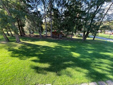 Private yard...