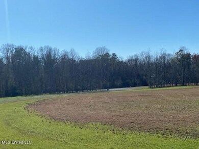 0 Cripple Creek Rd, Canton, MS 39046 - photo 4