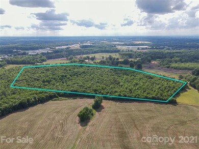 +/- 25.5 acres Bell Farm Rd, Statesville, NC 28625 - photo 4