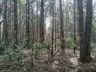 0 Just Rd unit 225114102, Iowa Hill, CA 95713 - photo 3