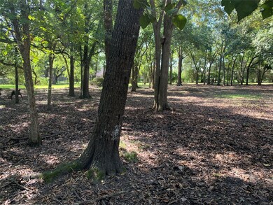 605 Quaker Dr, Friendswood, TX 77546 - photo 4