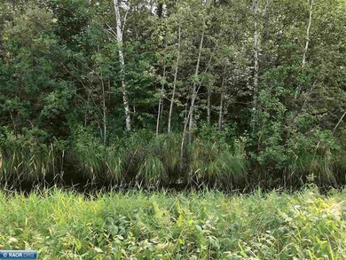 TBD Dass Rd, Meadowland, MN 55765 - photo 5