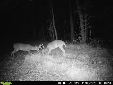 0 Silerton Rd, Toone, TN 38381 - photo 6