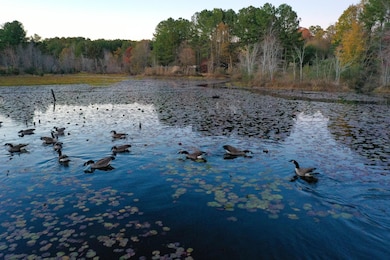 0 Wiley Rd unit 25566211, Spring Hope, NC 27882 - photo 7