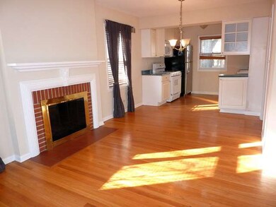 325 S Julian St, Naperville, IL 60540 - photo 4