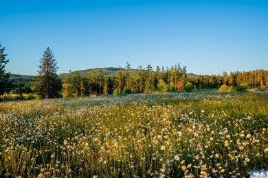 358 Daisey King Rd, Sequim, WA 98382 - photo 5