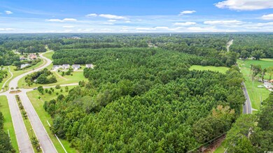 TBD Pembroke Blvd unit 216 +/- Lots - Persi, Johnsonville, SC 29555 - photo 6