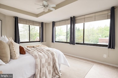 Essex unit 515, Washington, DC 20008 - photo 4