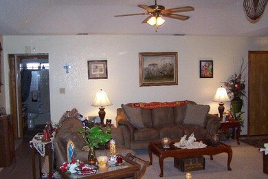 941 Citrus Dr unit 41, Alamo, TX 78516 - photo 6