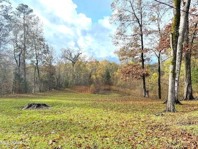 46 Stirling Rd, Natchez, MS 39120 - photo 3