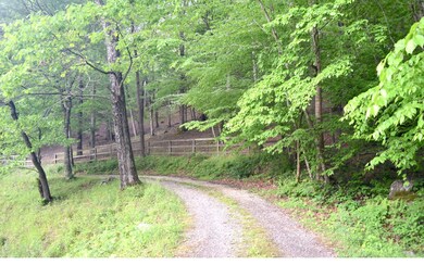 Additional View
