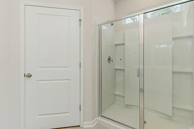 151 Vineyard Place unit 24, Pawleys Island, SC 29585 - photo 5